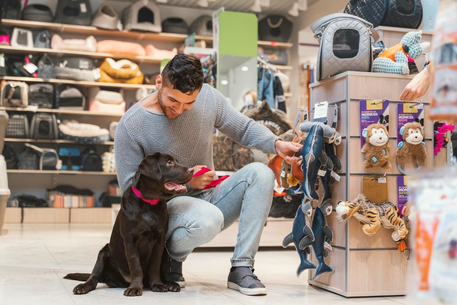 Pet Supply Store Essentials for a Complete Pet Care Shopping Experience