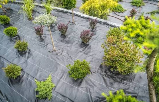 Why Geotextile Landscape Fabric Has Become a Landscaping Standard
