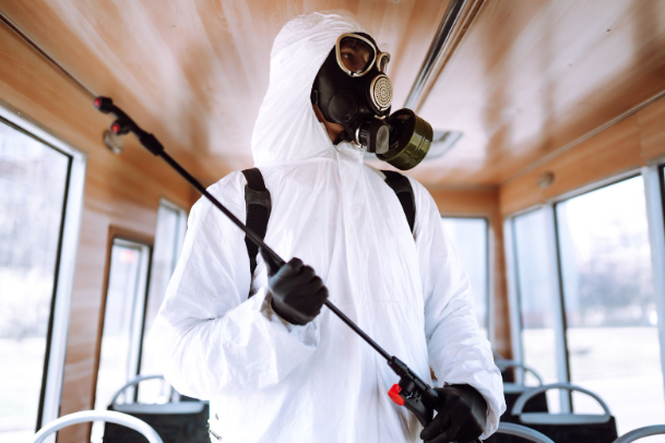 Pest Control Singapore Prices: 2026 Costs, Rules and Treatment Guide